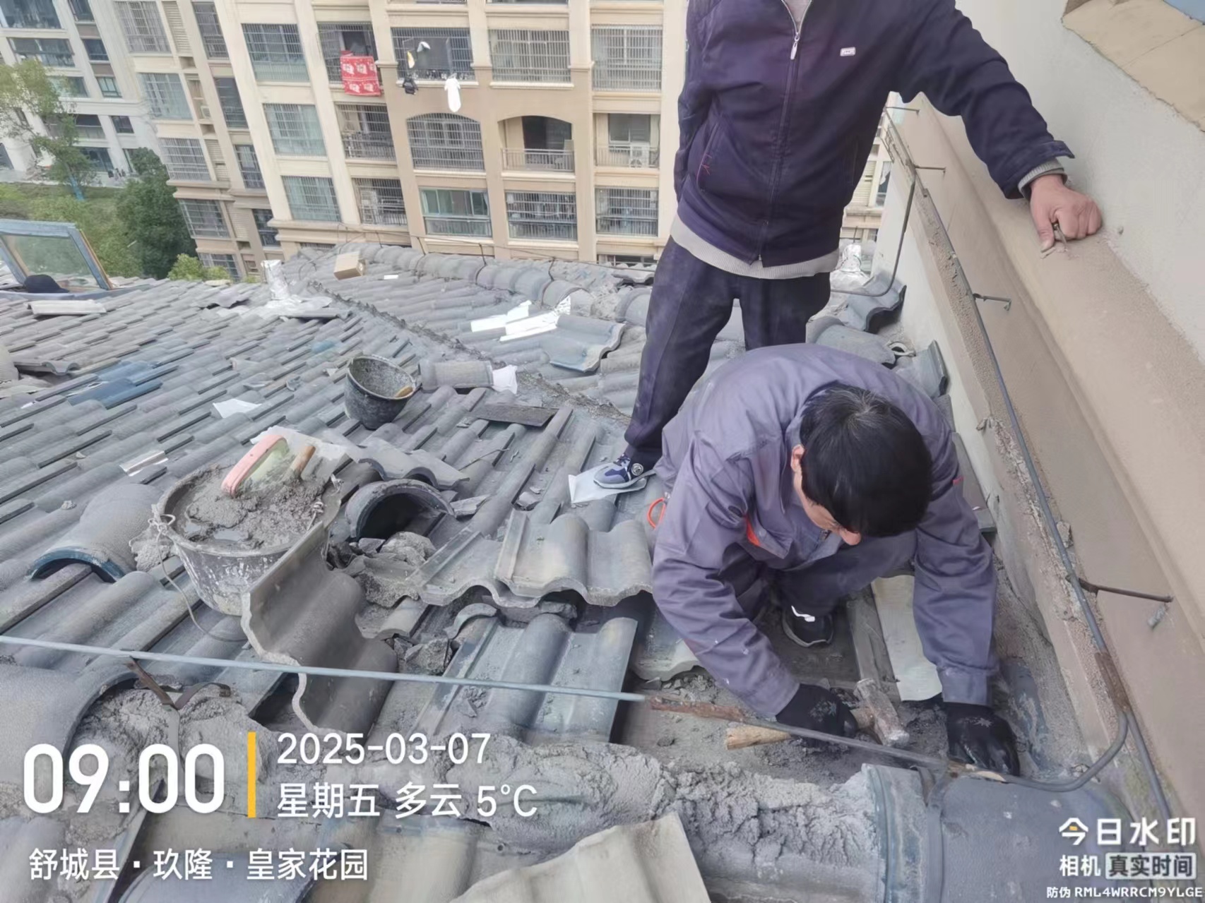 1741766643773454.jpg 微信图片_20250312144831.jpg