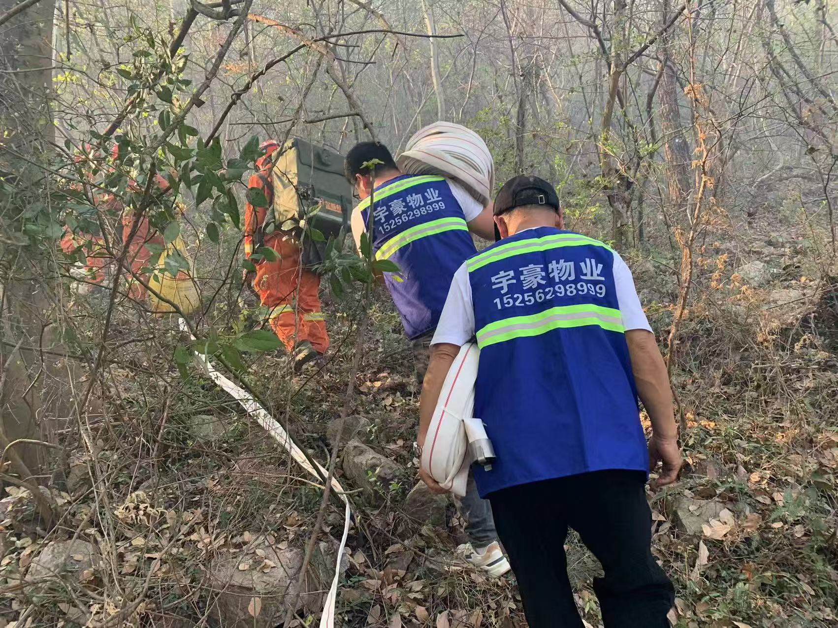 1743058999204991.jpg 1b67ee8887eb6288deef86d5a3e6e55.jpg