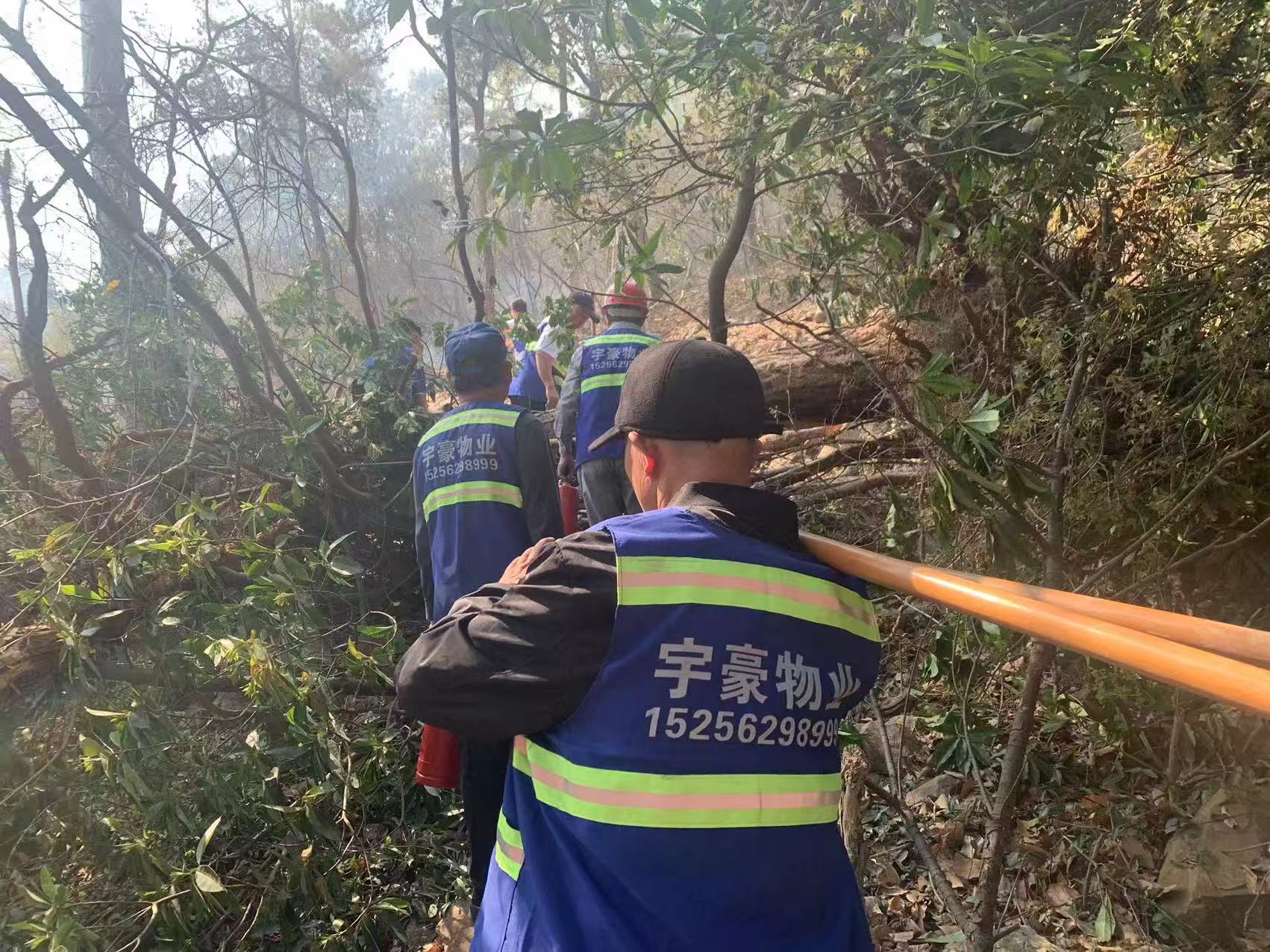 1743059358899370.jpg 70a0f8e148e9e341b6eff7bfa933d83.jpg