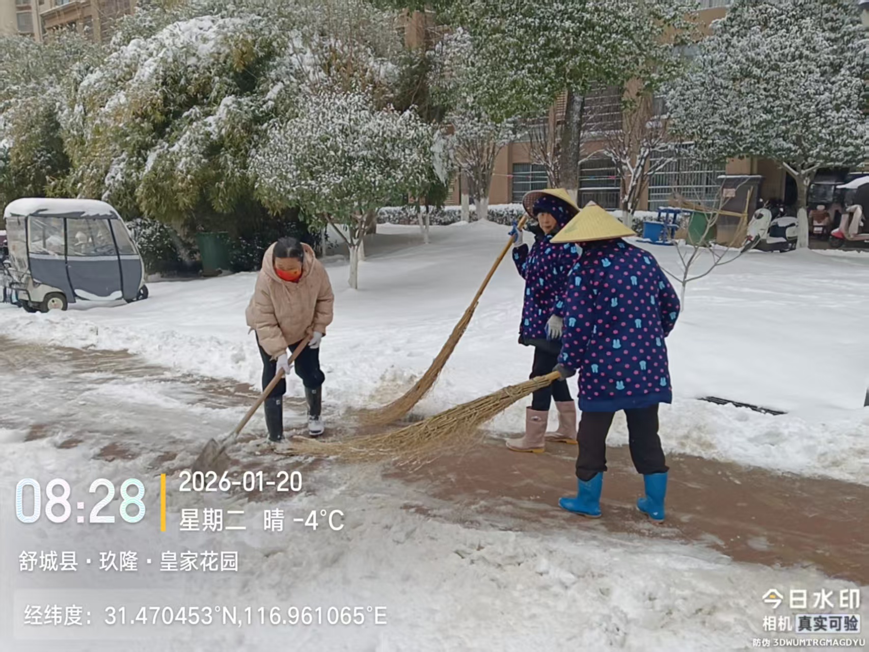 1768905325932200.jpg 21110d1c09db52175e6f3262471e3086.jpg